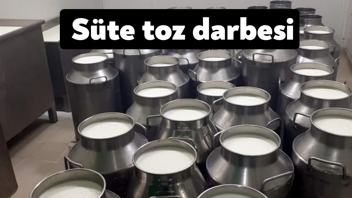 Çiğ süt alım fiyatlarının aşağı çekildiğini kaydeden üreticiler süt tozu