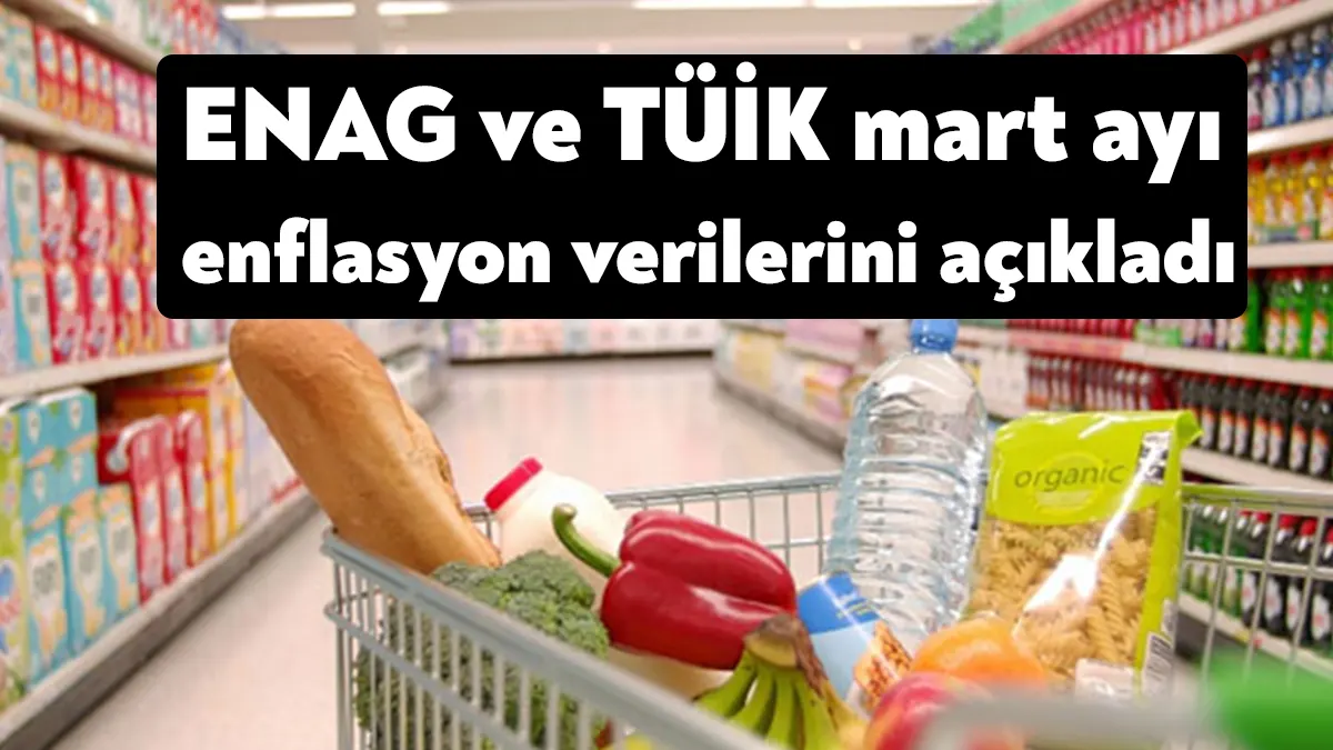 Türkiye İstatistik Kurumu (TÜİK) ve Enflasyon Araştırma Grubu (ENAG) mart