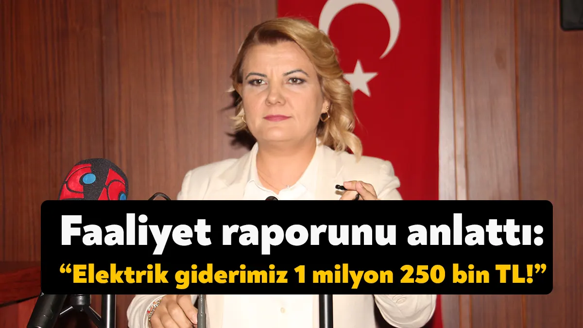İzmit Belediye Başkanı Fatma Kaplan Hürriyet, 2022 yılı faaliyet raporu