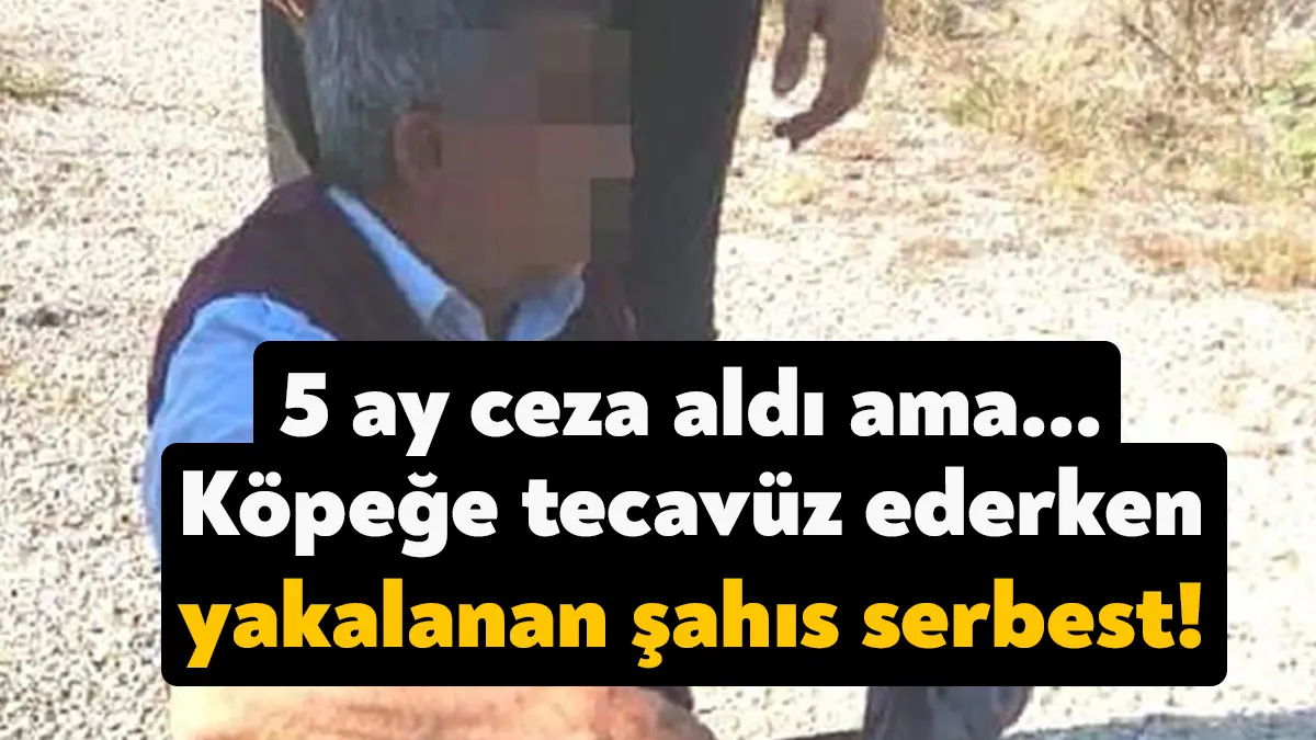 Kandıra’da köpeği ağaca bağlayıp tecavüz eden şahıs hakkında mahkeme kararı