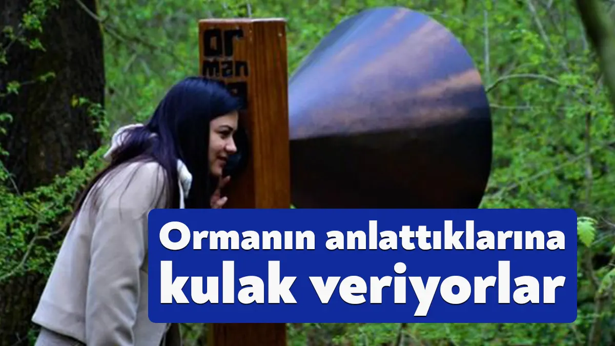 Avrupa’nın en büyük doğal yaşam parkı Ormanya’da “Ormanın Sesi” alanına