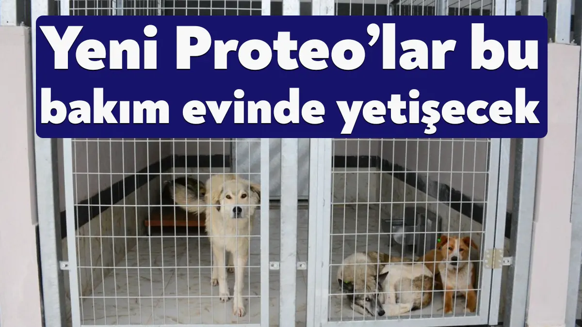 Deprem felaketinin ardından Adıyaman'da arama kurtarma faaliyetlerine katılan ve bu