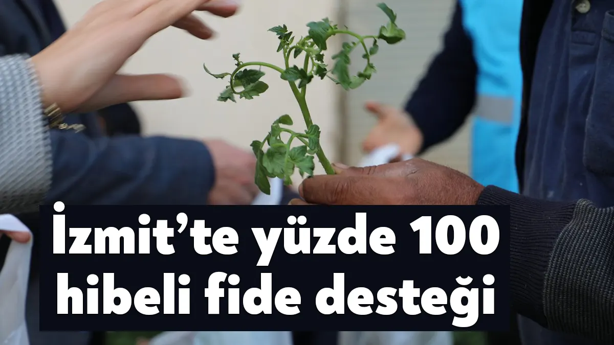 Üreten ve üreticiyi destekleyen İzmit Belediyesi, örtü altı sebze üreten