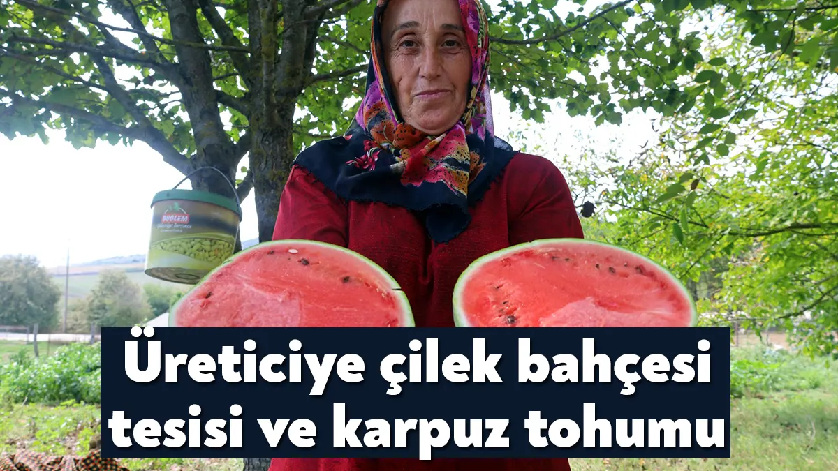 Kocaeli Büyükşehir, “Alternatif Ürün Yetiştiriciliğini Destekleme Projesi” kapsamında üreticilere yüzde