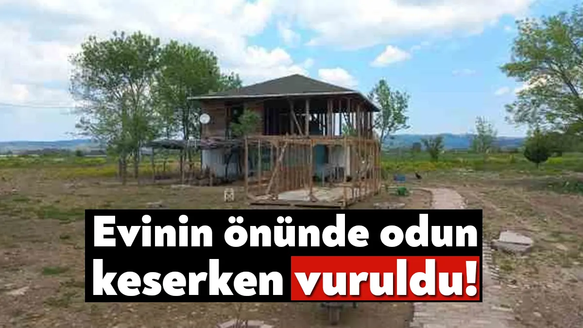 Kocaeli’nin İzmit ilçesinde evinin önünde odun kestiği esnada nereden geldiği