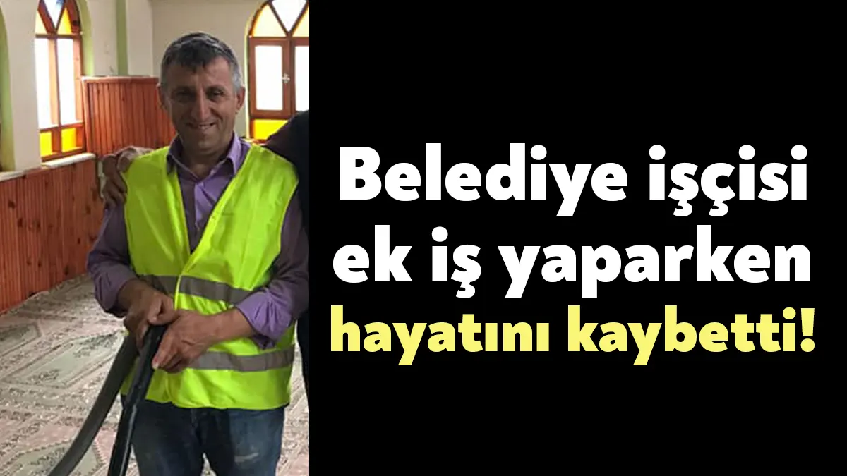 İzmit Belediyesi Veteriner İşleri Müdürlüğü işçisi Ali Kaya, İzmit'te hafta