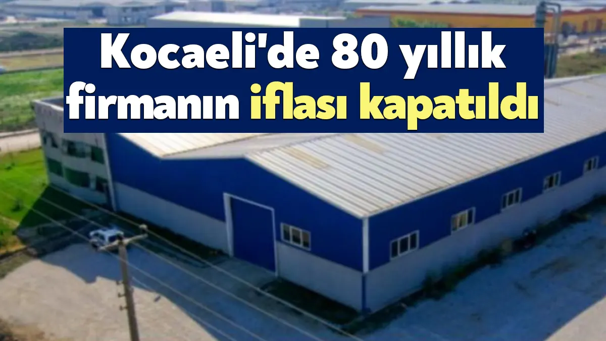 80 yıllık firma Marmara Dengizekler Orman Ürünleri ve İnşaat Sanayi