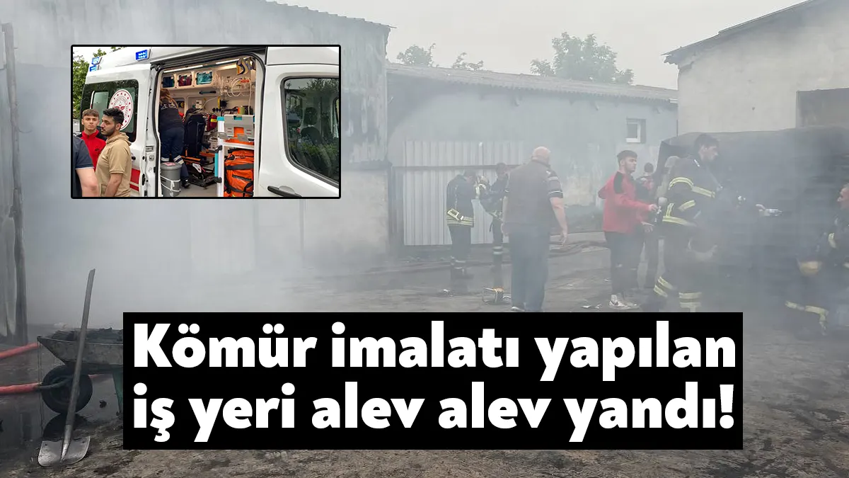 Kocaeli'nin Başiskele ilçesinde mangal kömürü imalatı yapılan iş yeri