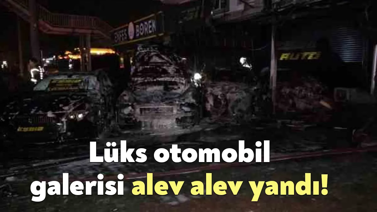 Kocaeli'nin Başiskele ilçesinde bir oto galerinin önünde bulunan park halindeki