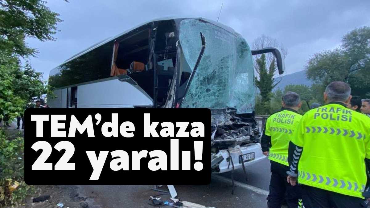 Oy kullanmak için İstanbul'dan Ordu'ya giden vatandaşların içinde bulunduğu otobüs,