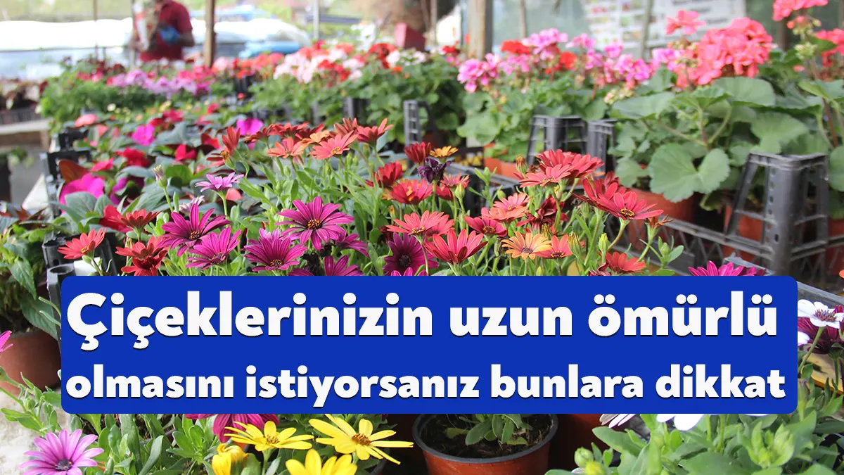 Kocaeli’de 2 arkadaş emekli olduktan sonra beraber açtıkları çiçekçide hem