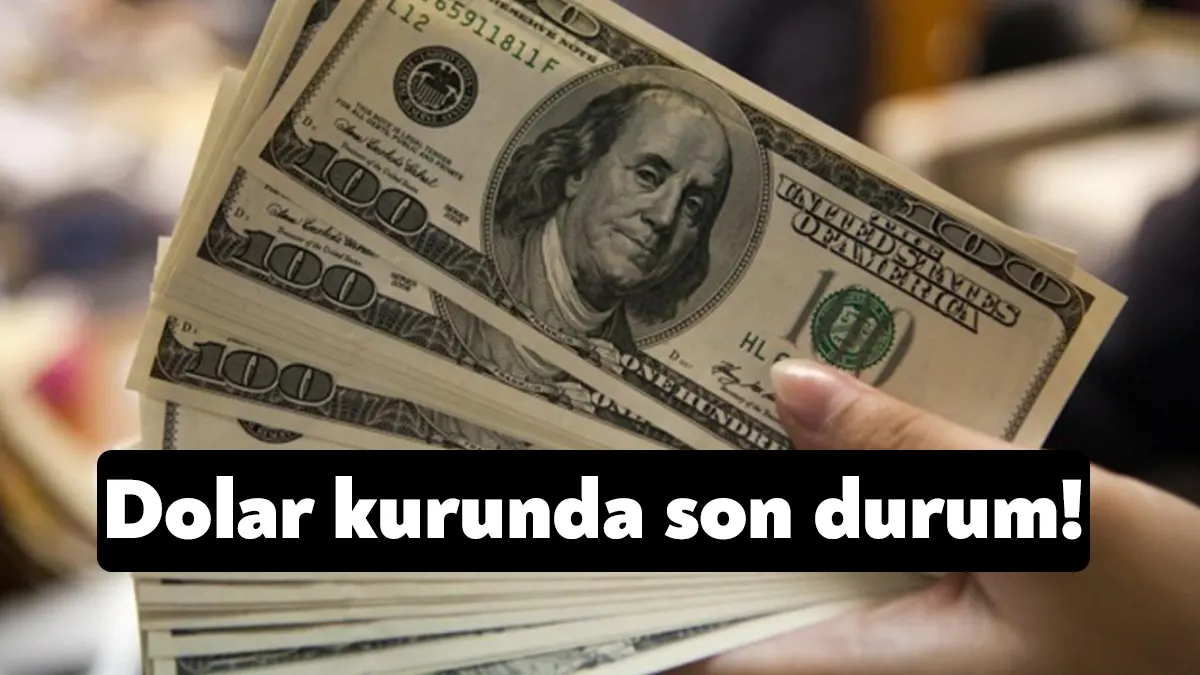 Dolar/TL, cuma günü yüzde 0,1 artışla 26,7321'den kapanmasının ardından bugün