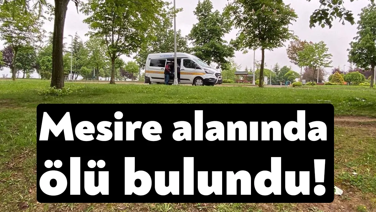Kocaeli'nin İzmit ilçesinde mesire alanında silahla vurulmuş halde erkek cesedi