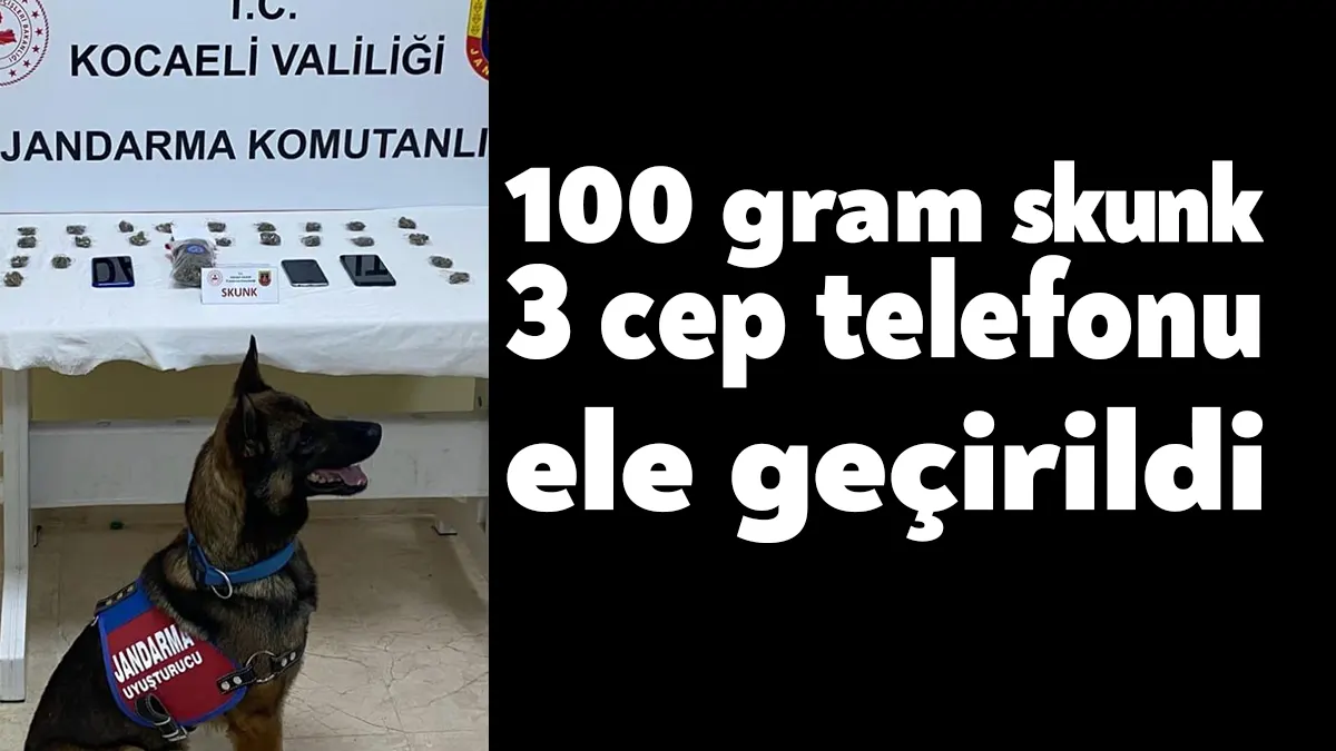 Kocaeli’nin İzmit ilçesinde jandarma ekipleri şüpheli şahsın aracında arama yaptı.