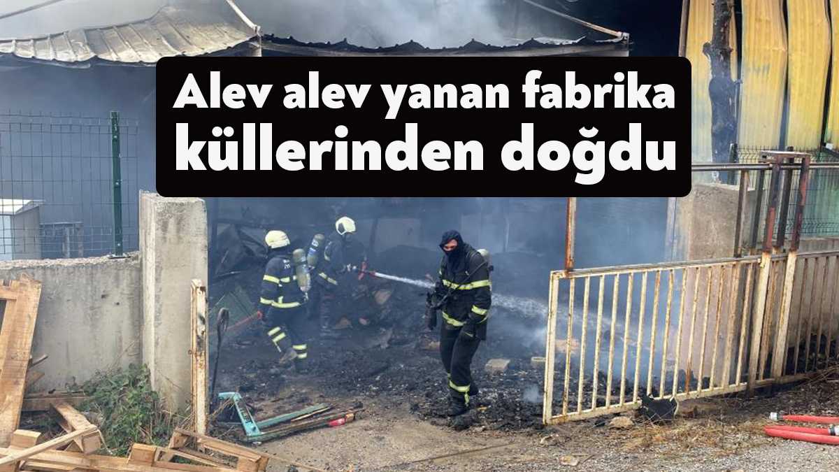 Kocaeli'nin Gebze ilçesinde 10 ay önce yangının çıktığı plastik enjeksiyon