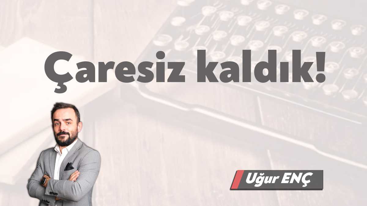 Evin bahçesinde geniş bir habitat oluşturdum. Kertenkeleler, rümcekler, karıncalar, solucanlar
