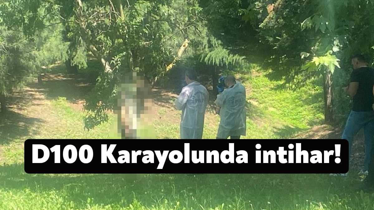 Kocaeli'nin Çayırova ilçesinde D-100 Karayolu üzerinde bulunan ağaçlık alanda ağaca