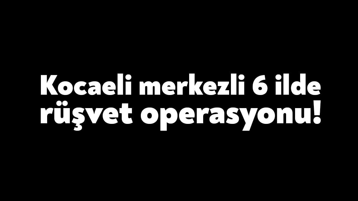 Kocaeli merkezli 6 ilde yapılan eş zamanlı operasyonla fındık alımlarında