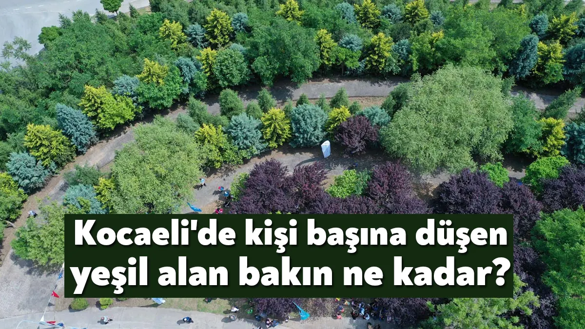 Gölcük’teki Nihavend Çay Bahçesi ağaçlandırma alanına Toprak Dede Hayrettin Karaca