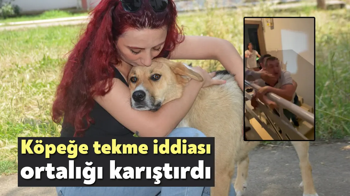 Kocaeli'nin Gölcük ilçesinde sokak köpeğine tekme iddiasıyla başlayan tartışmada iki