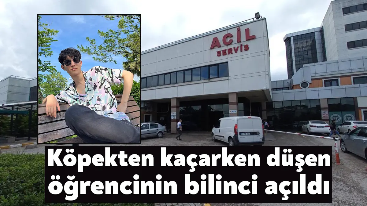 Kocaeli’de köpeklerden kaçarken 3 metre yükseklikten düşen 19 yaşındaki üniversite