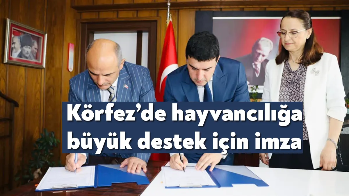 Körfez Kaymakamlığı, Körfez Belediyesi ve İlçe Tarım ve Orman Müdürlüğü