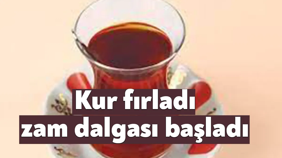 Seçim sonrası TL'deki değer kaybı yüzde 10'u aştı. Kurlarda yaşanan