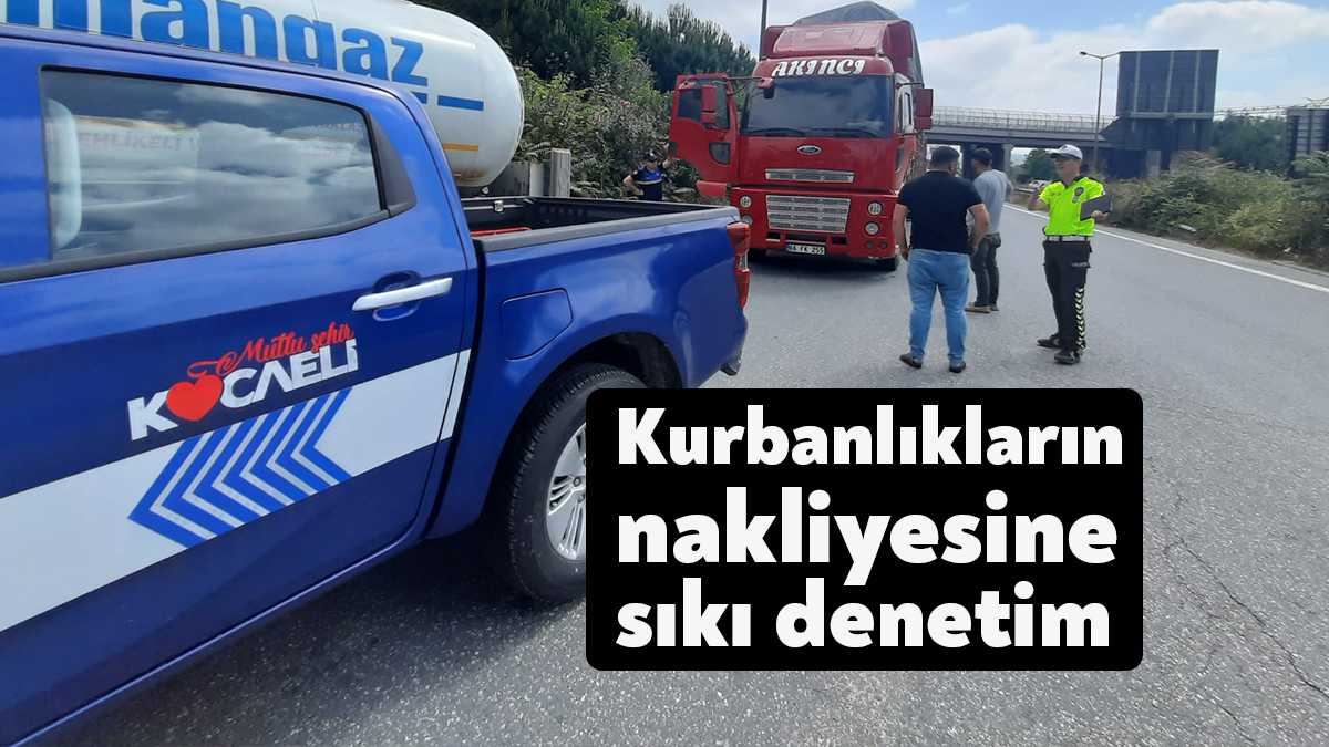 Büyükşehir zabıtası, kurbanlık hayvanların nakliyesine yönelik Tarım İl Müdürlüğü ve