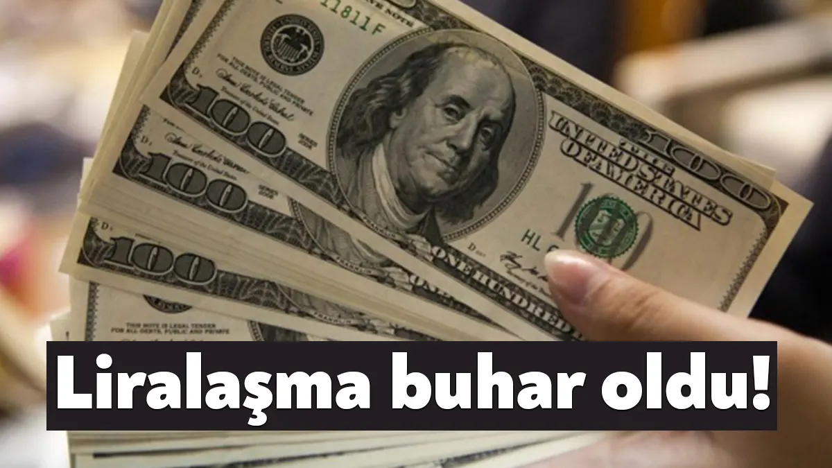 Yeni ekonomi yönetimi ile birlikte, hayatımıza ansızın giren ‘liralaşma’ stratejisi