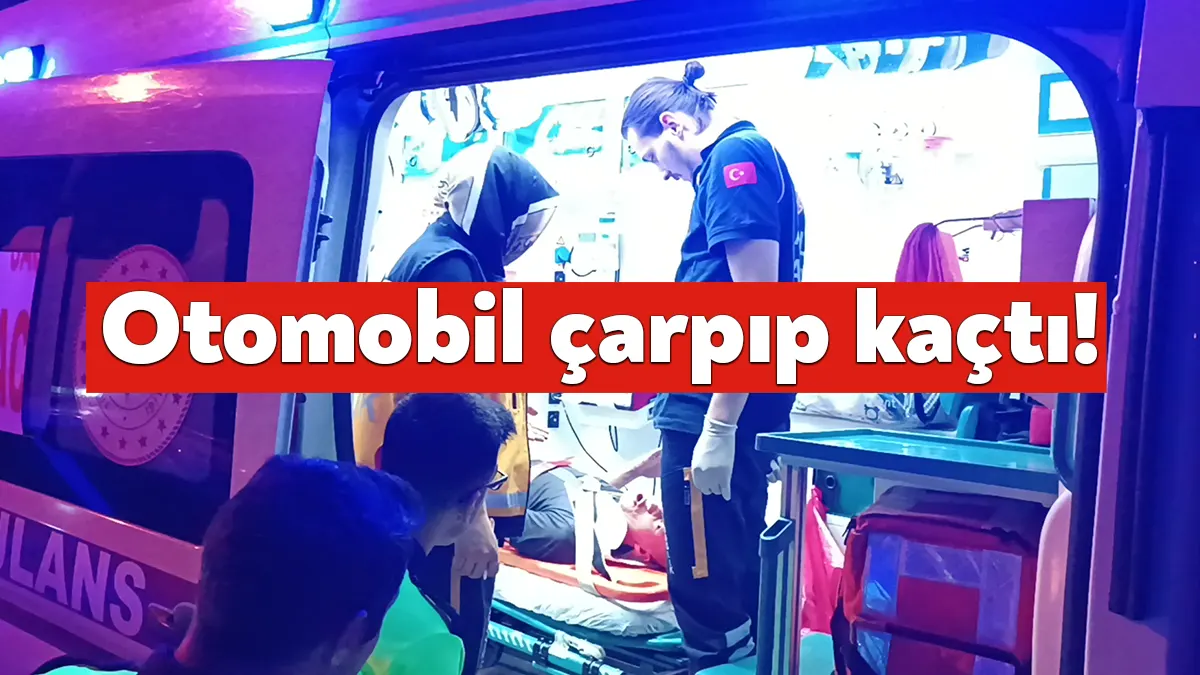 Kocaeli’nin Gebze ilçesinde yolun karşısına geçen yayaya otomobil çarptı.