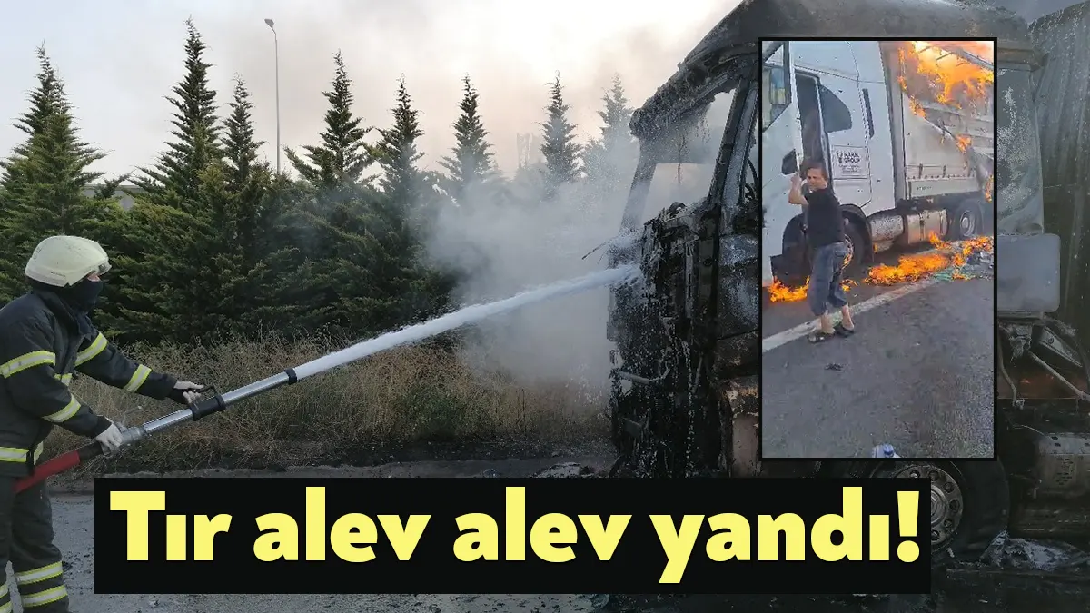 TEM Otoyolu Kocaeli geçişinde seyir halindeki tırda yangın çıktı. İtfaiye
