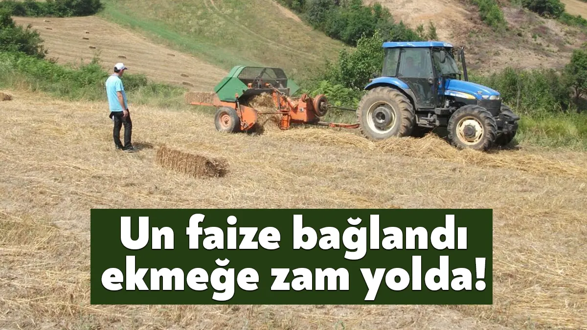 Yeni ekonomi yönetiminin nasıl bir yol izleyeceği henüz bilinmiyor ancak