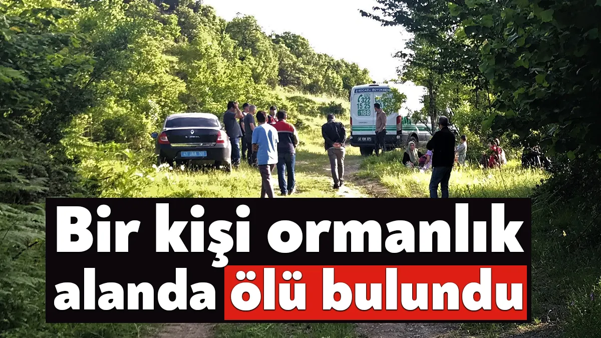 Kocaeli’nin Körfez ilçesinde bir kişi, ormanlık alanda başından tüfekle vurulmuş
