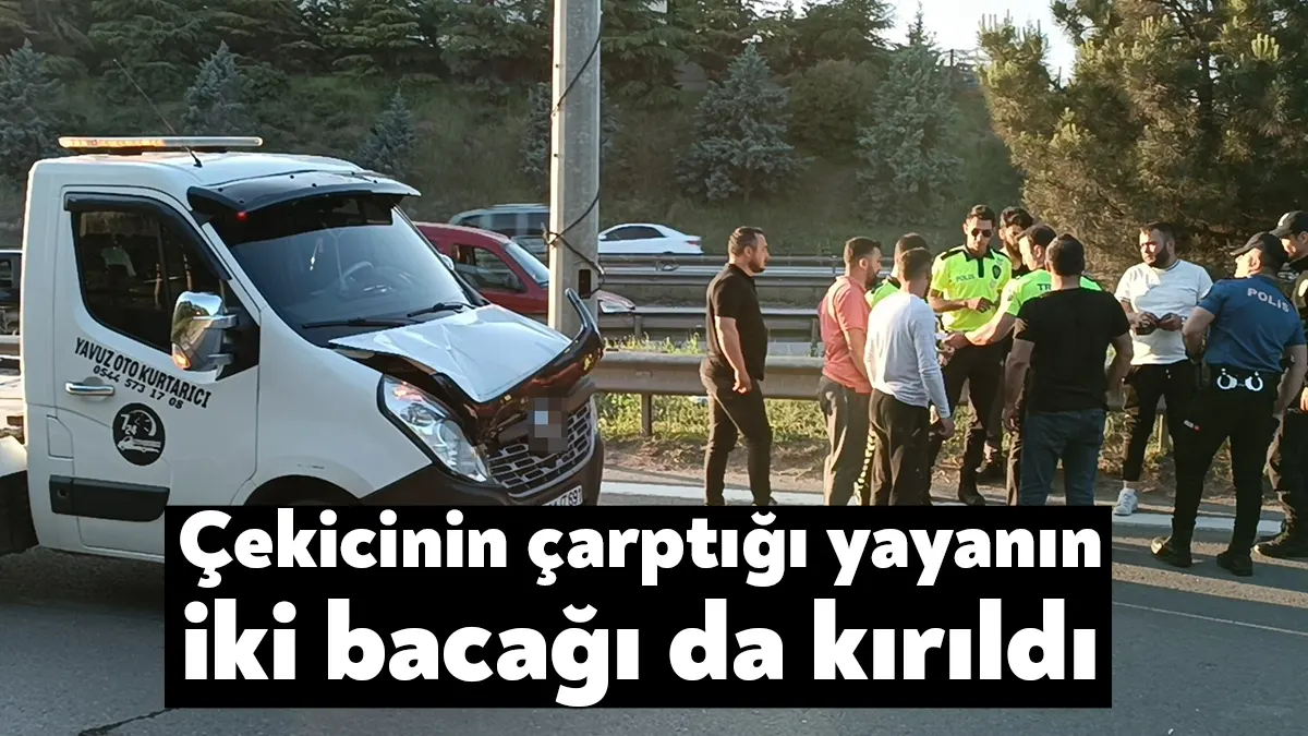 Kocaeli'nin Gebze ilçesinde E-5 üzerinde karşıdan karşıya geçmeye çalışan yayaya