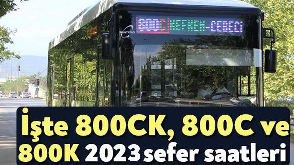 800CK, 800C ve 800K 24 Haziran'da seferlerine başlıyor. UlaşımPark, her