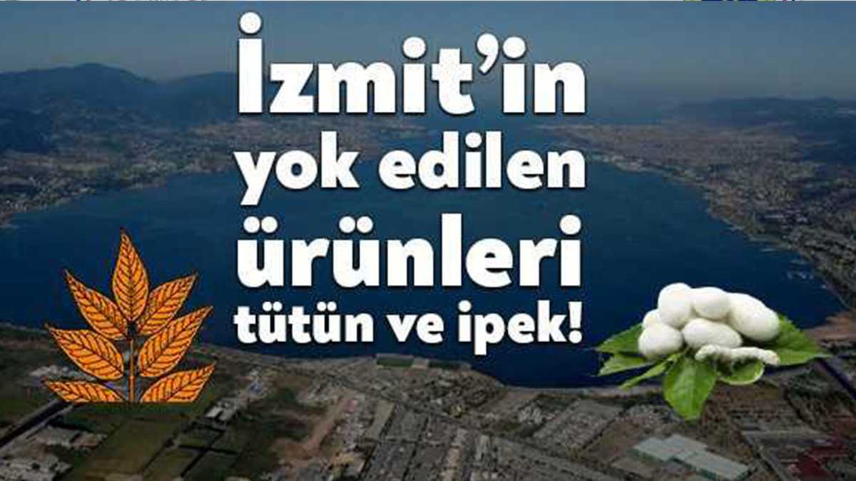Kent tarihçisi Yavuz Ulugün’ün Kocaeli tarihiyle ilgili paylaşımlar yaptığı sosyal