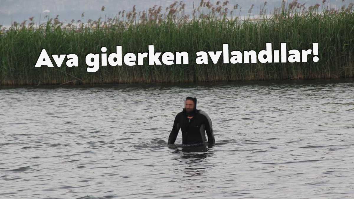 Kocaeli'nin İzmit ilçesinde koruma altındaki kuş gözlem alanında kaçak midye