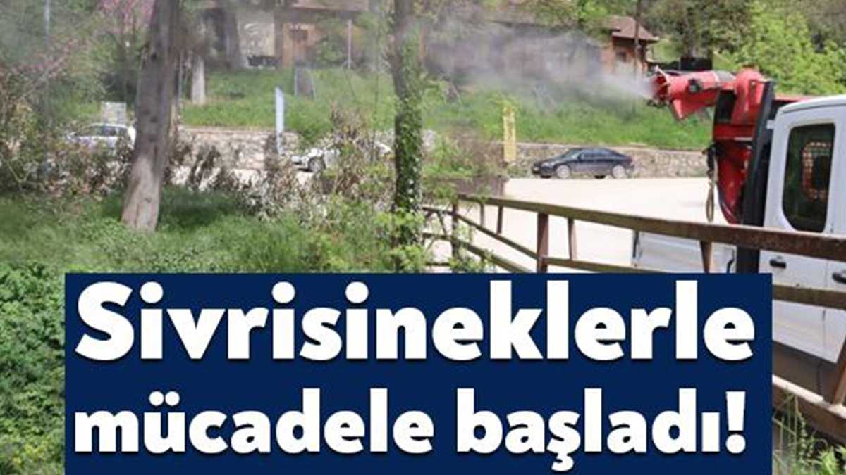 İzmit Belediyesi, yaz aylarında ortaya çıkan sinek ve karasinek gibi