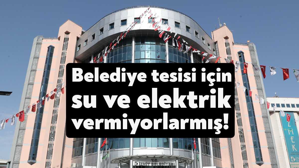 İzmit Belediyesi, KOÜ Umuttepe Yerleşkesi önünde sokak hayvanları tarafından saldırıya