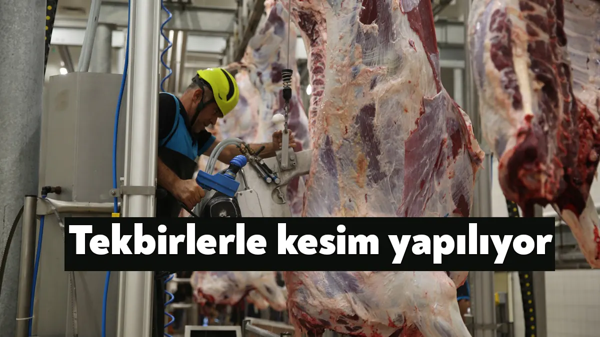 Müslümanlar Kurban Bayramı’nın coşkusunu yaşamaya başlarken Büyükşehir’in Solaklar Mezbahasında kesim