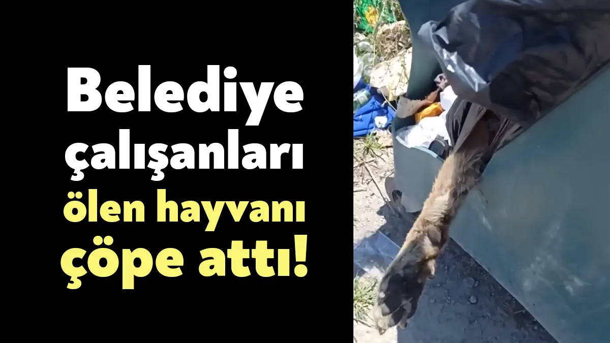İzmit Sanayi Mahallesi Namzet Sokak'ta belediye çalışanları olduğu ileri sürülen