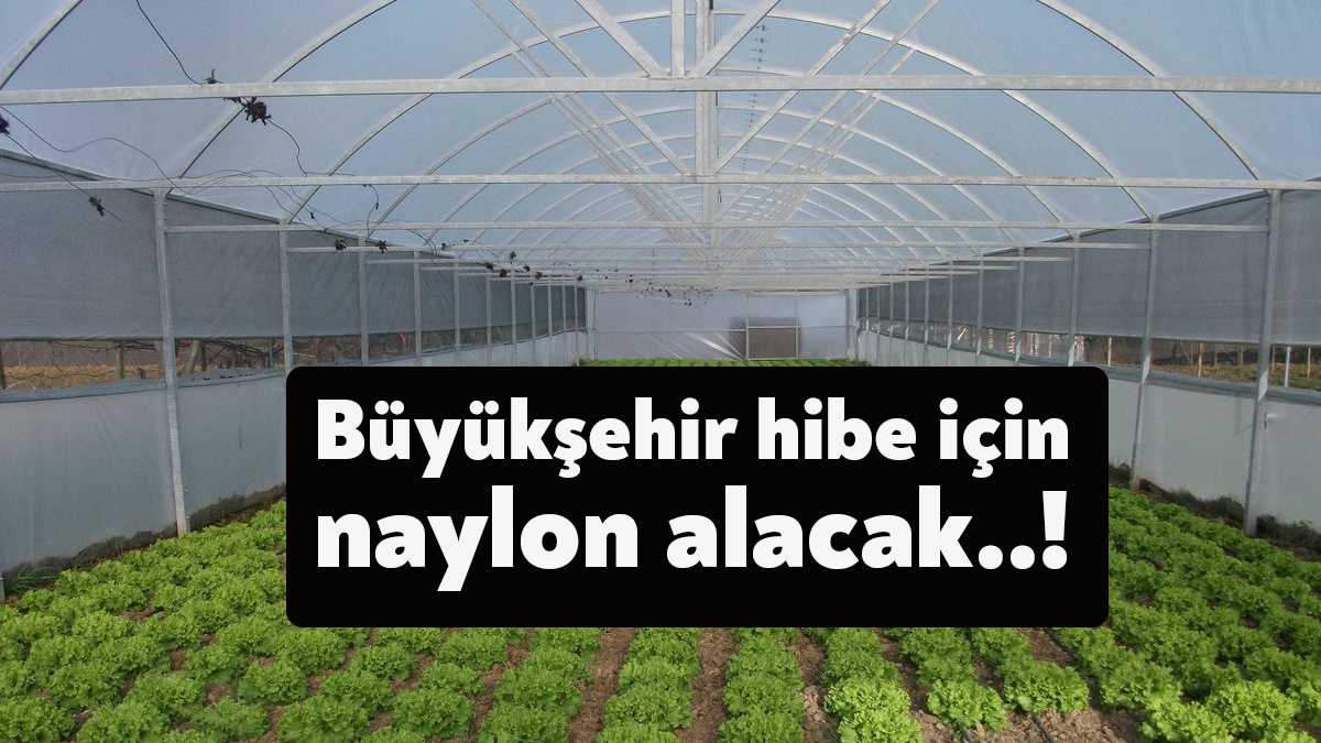 Büyükşehir, Kocaeli’de çiftçilere yüzde 50 hibeli anahtar teslimi modern sera