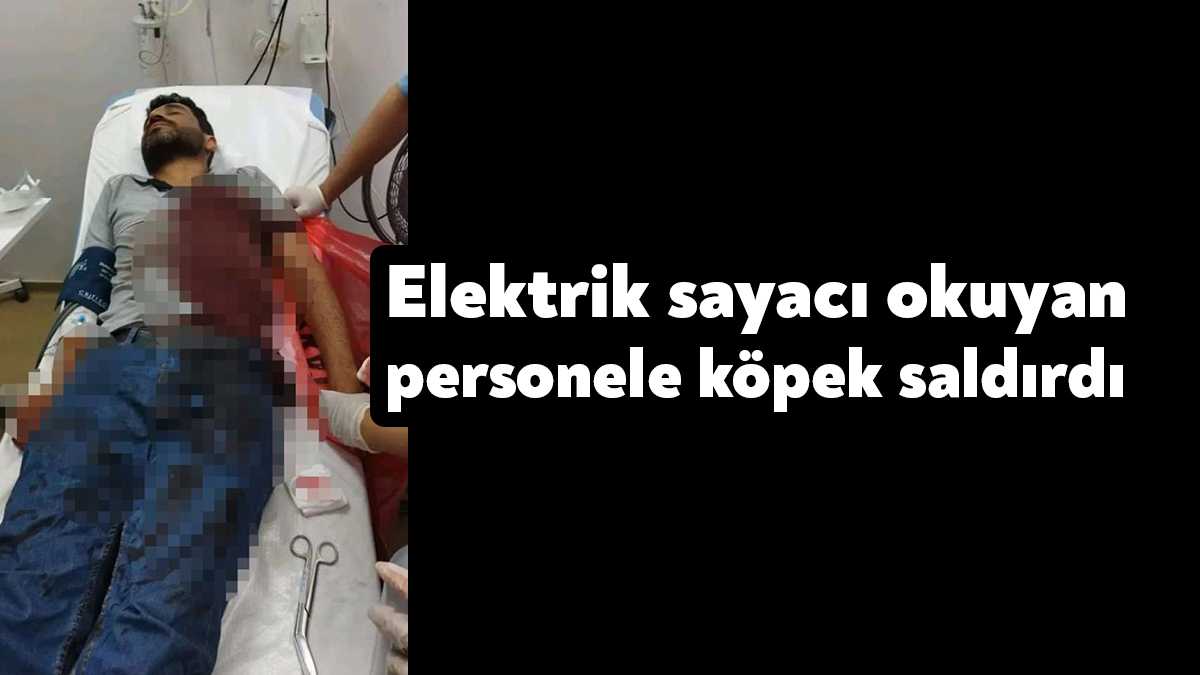 Kocaeli’nin Karamürsel ilçesinde elektrik sayacı okuma personeli, bir villanın bahçesinde