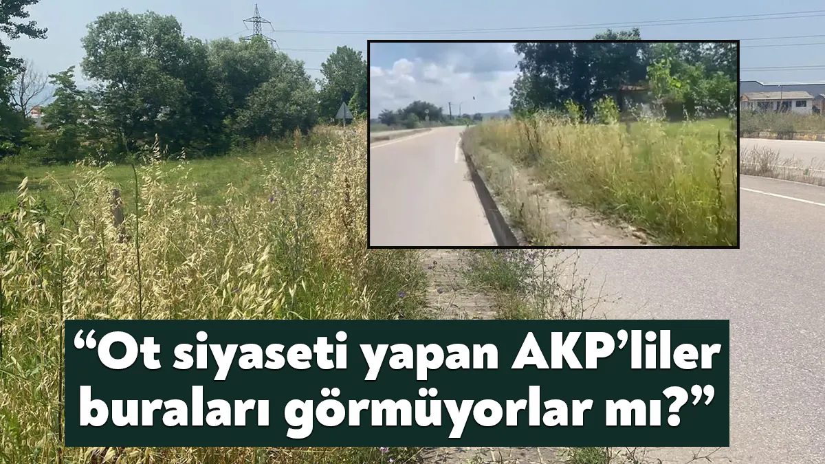 İzmit Belediyesi Başkan Yardımcısı Emirşah Torun, Kocaeli Büyükşehir Belediyesinin