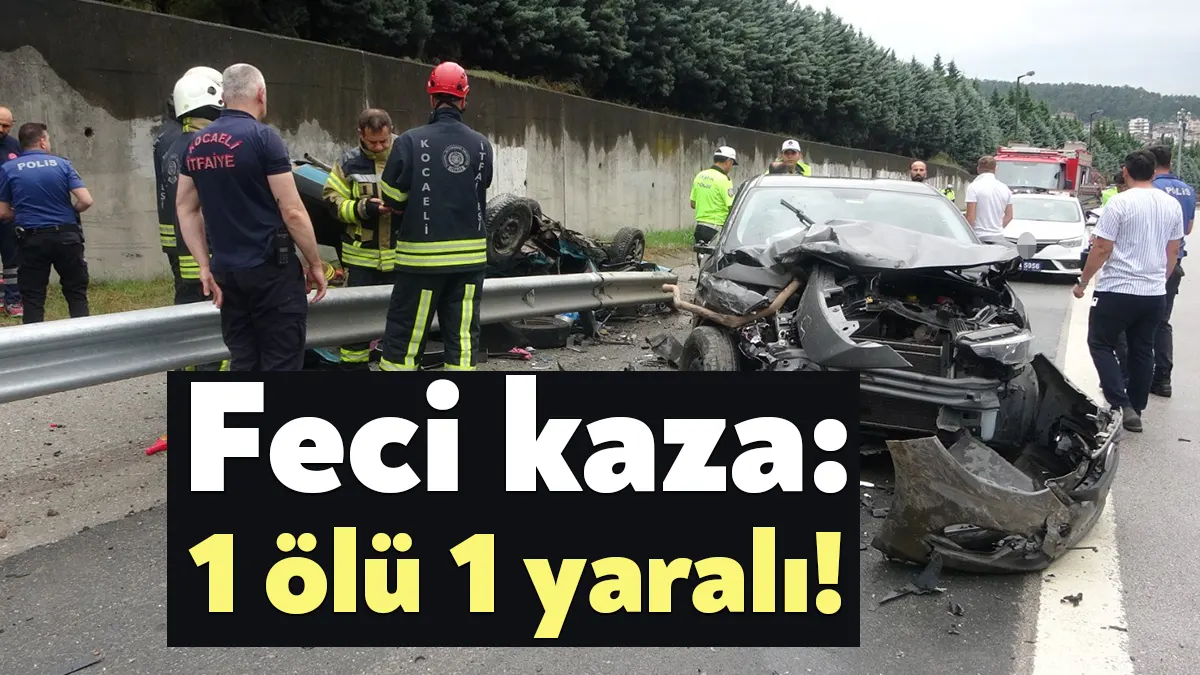 TEM Otoyolu Kocaeli geçişinde seyir halindeki otomobil, başka bir araca