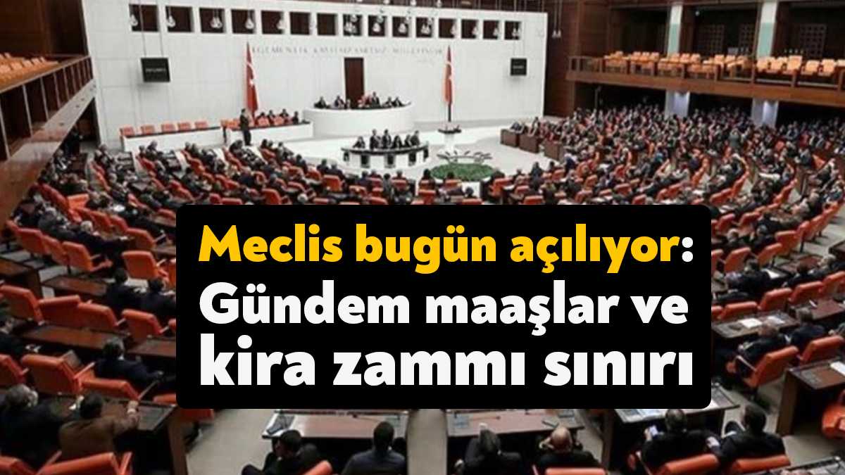 Memur ve emekli maaşı düzenlemesi, anayasa değişikliği, kira artışlarında yüzde