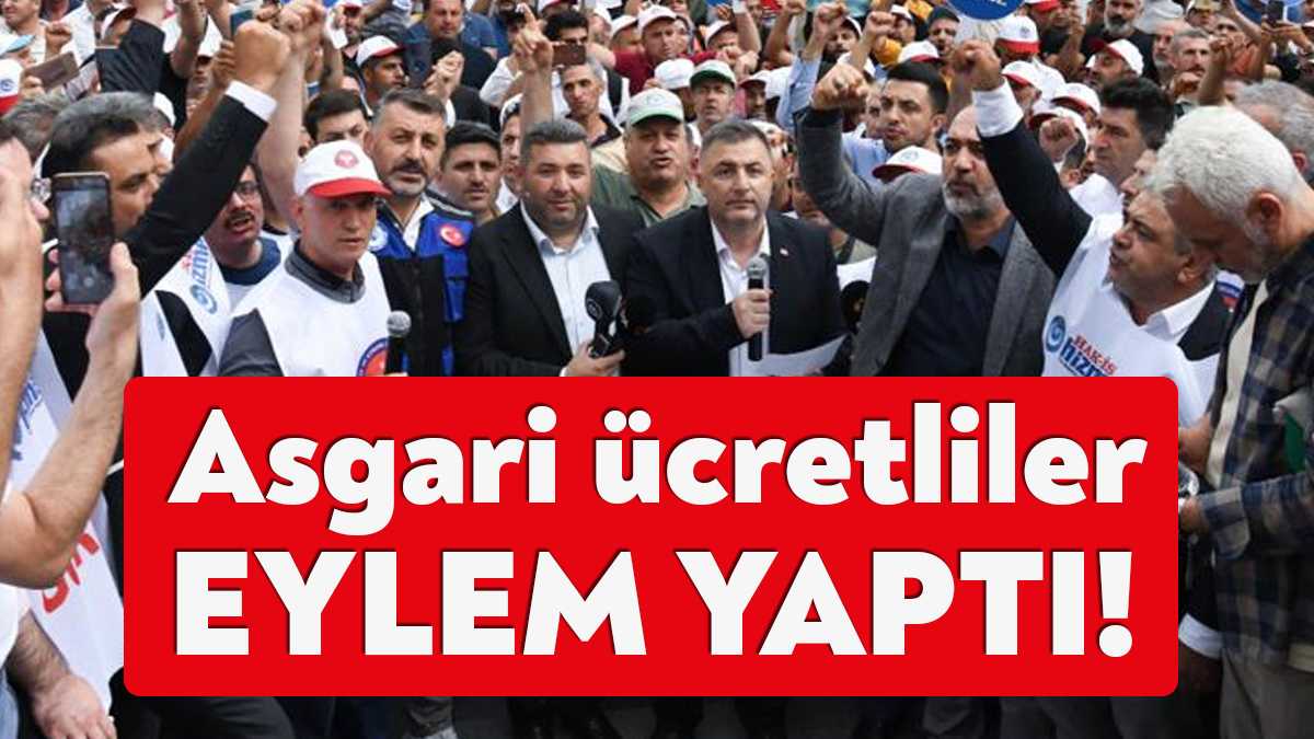 Welk ras is Turk  Webwoordenboeknl