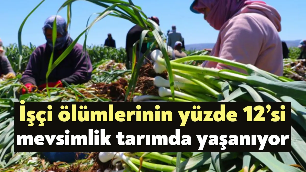 Mevsimlik tarım işçileri zor şartlarla baş başa kalırken İSİG Meclisi