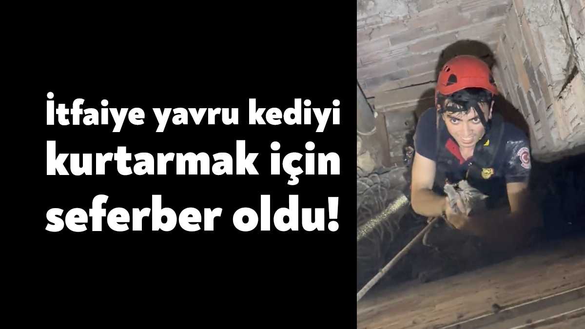 Kocaeli'nin İzmit ilçesinde iki duvar arasında sıkışan yavru kedi itfaiye