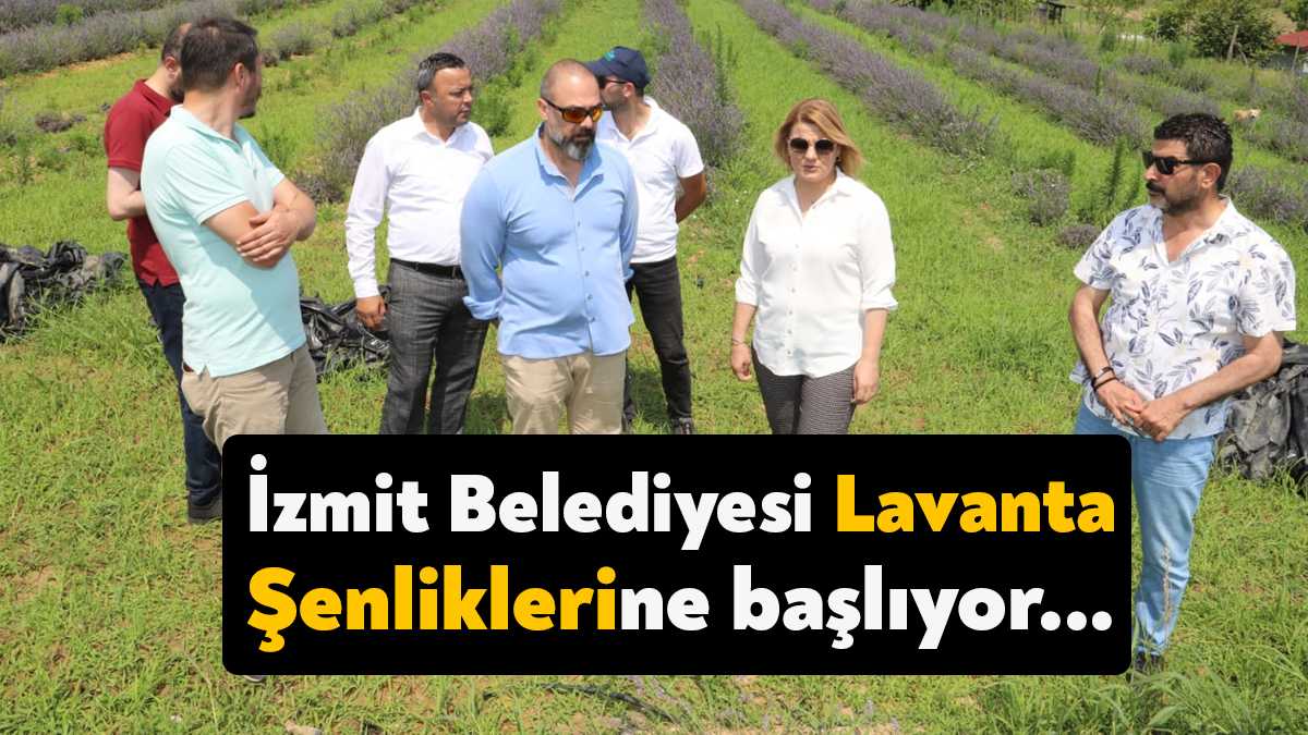 İzmit Belediyesinin üç farklı mahallede hayata geçirdiği lavanta bahçelerinde organize